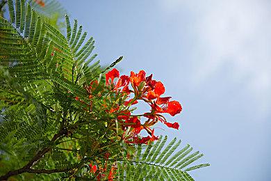 官方发布《命运2：邪姬魅影》苏生赛季终极预告